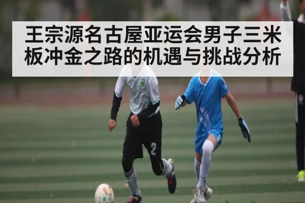 王宗源名古屋亚运会男子三米板冲金之路的机遇与挑战分析