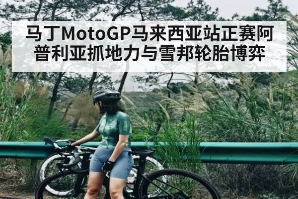 马丁MotoGP马来西亚站正赛阿普利亚抓地力与雪邦轮胎博弈